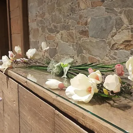 House Snc Di Elisa Baroni E Beatrice Dei Cas Apartment *